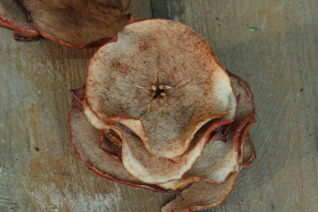 Lichte borrelhapjes appelchips zelfgemaakt