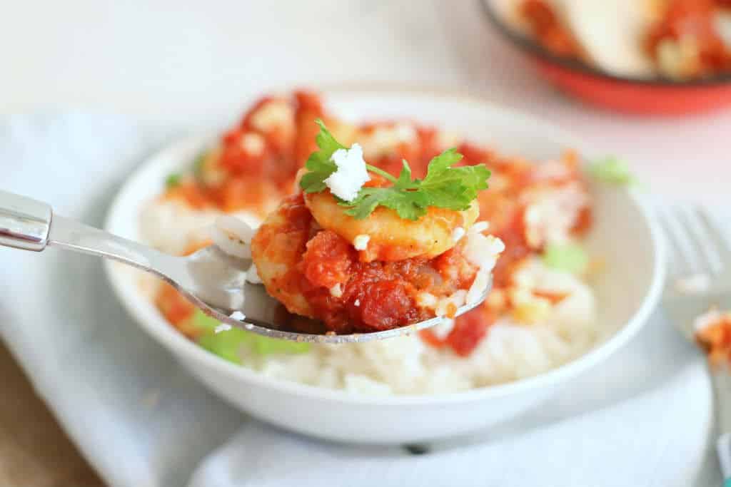 garnalen in tomatensaus