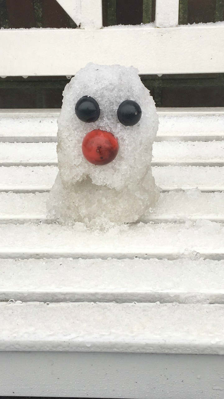 Kijkje in mijn leven januari
