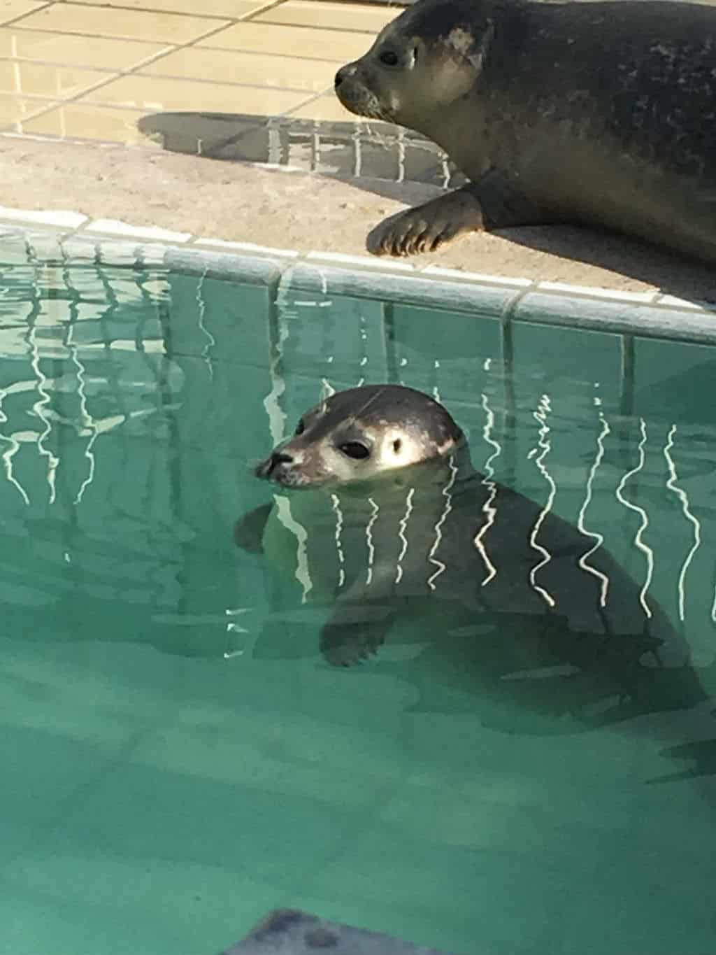 kijkje in mijn leven oktober 2017