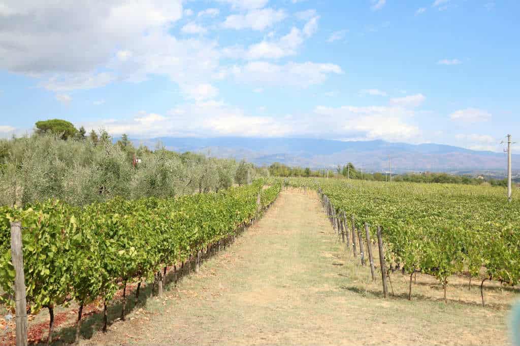 culinair genieten in Chianti truffel zoeken 