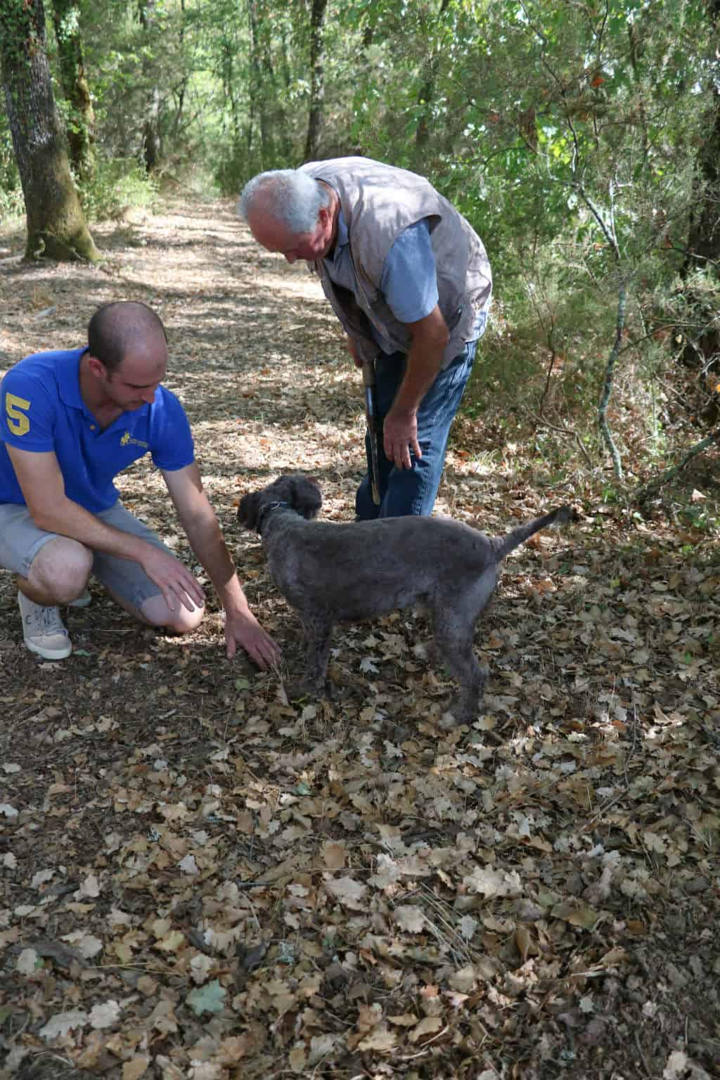 culinair genieten in Chianti truffel zoeken 