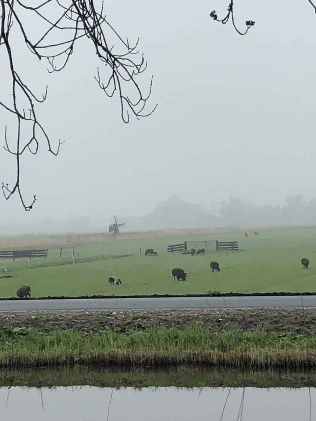 Kijkje in mijn leven april 2018