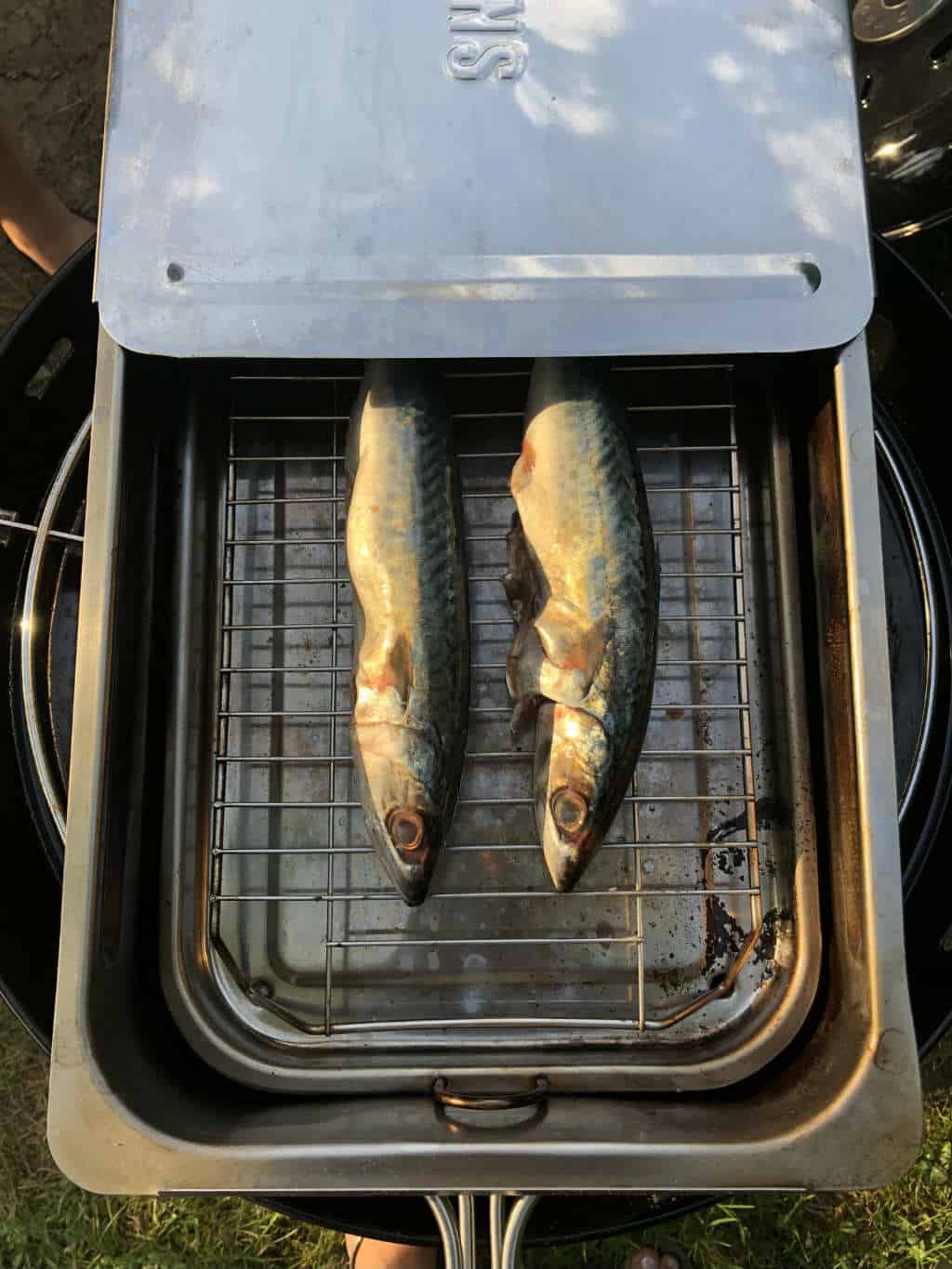 Kijkje in mijn leven juli augustus 2018