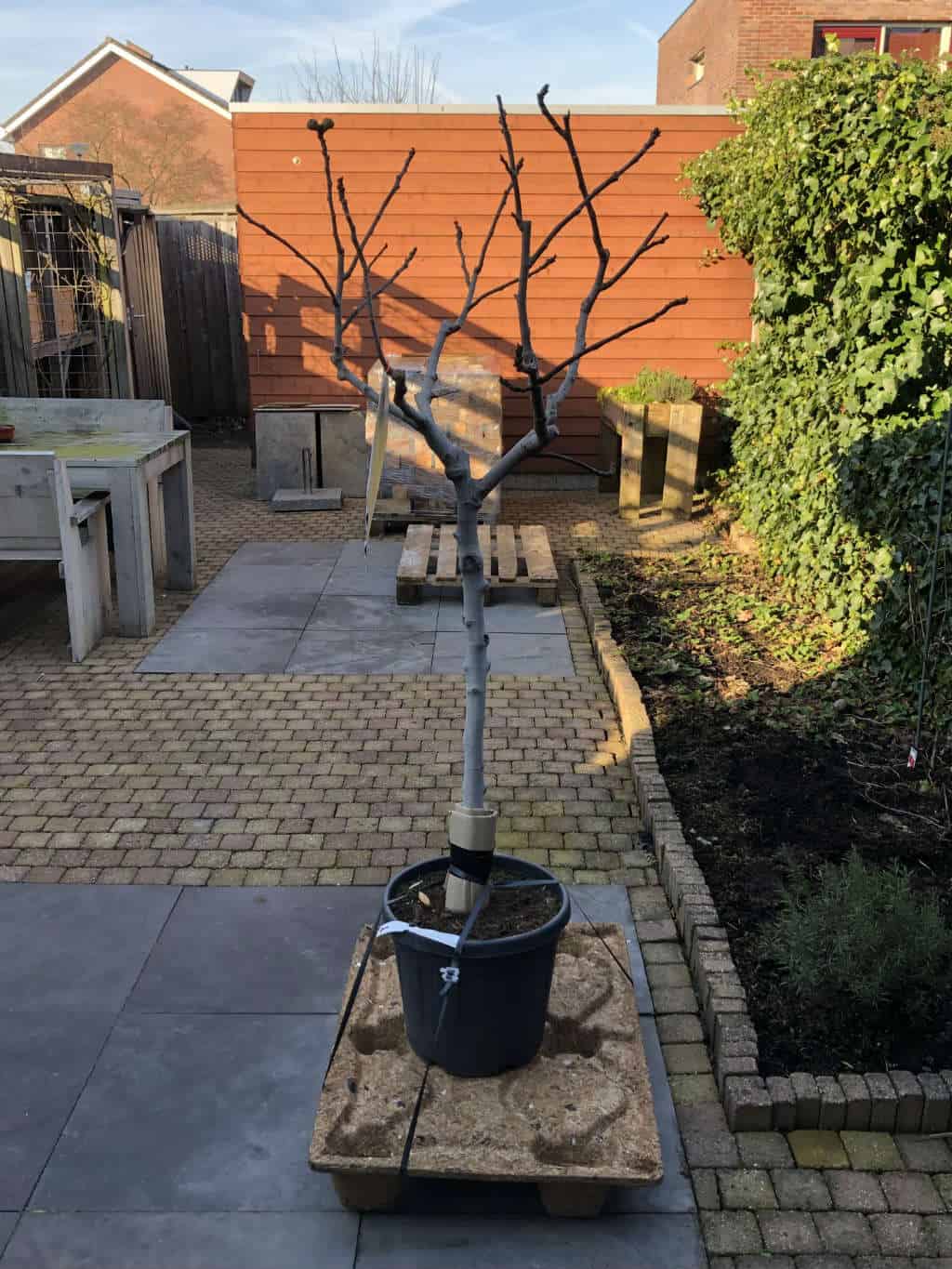 Kijkje in mijn leven februari 2019 7a