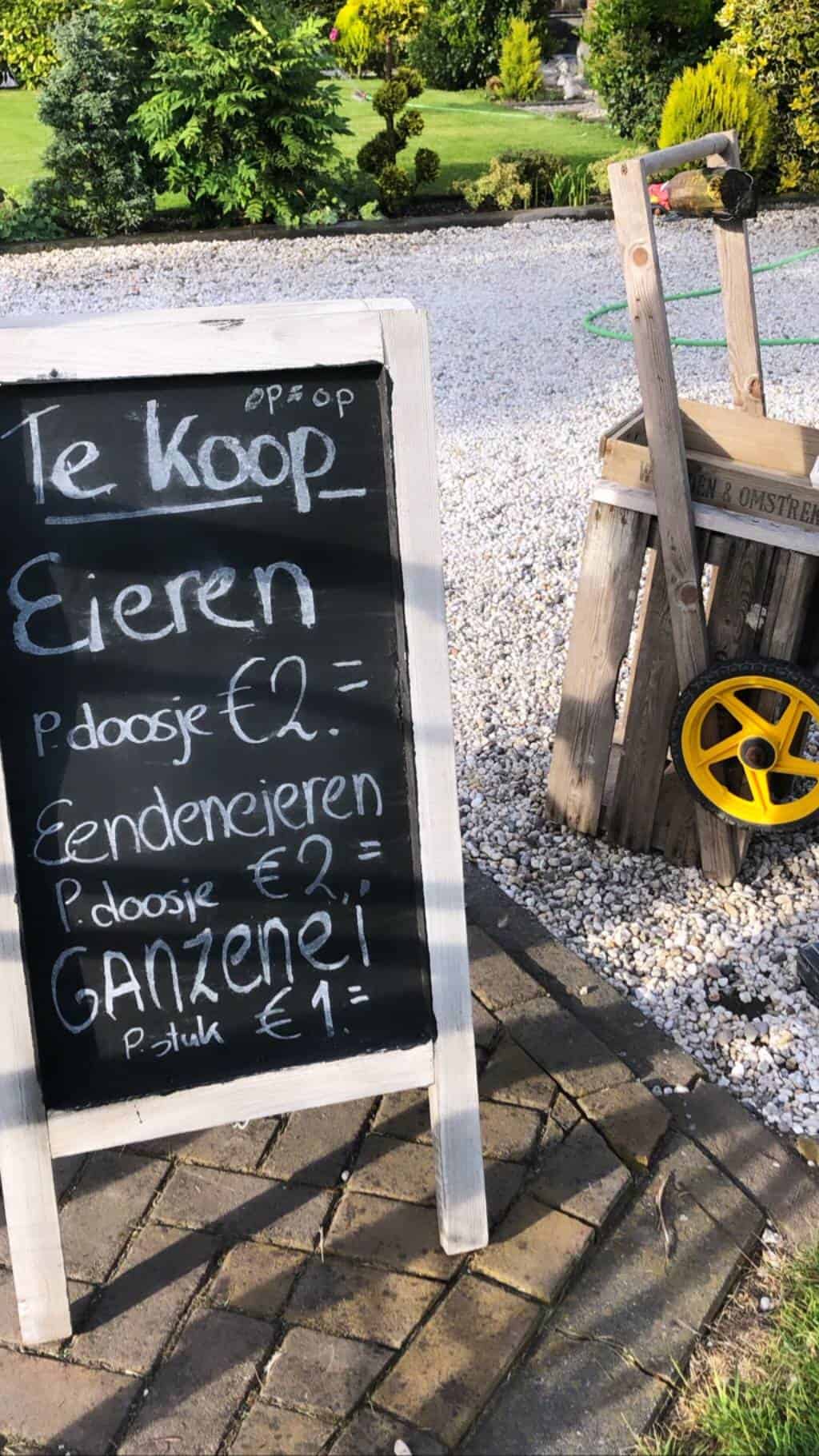 Kijkje in mijn leven juni 3a