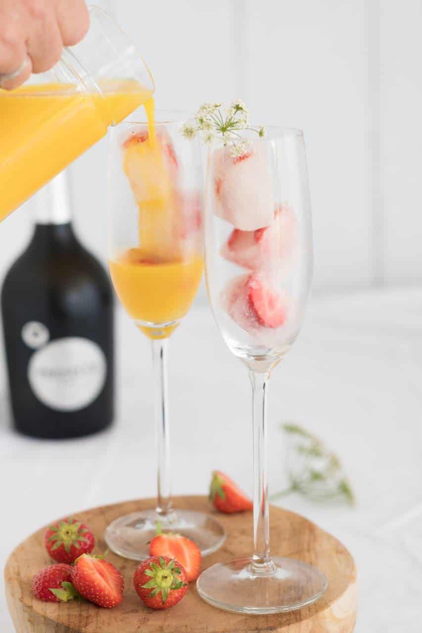 Mimosa