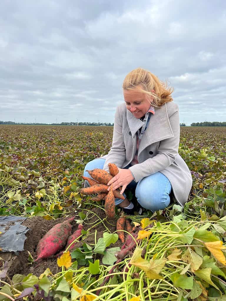 Linda met zoete aardappel van Nederlandse bodem