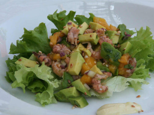 Garnalensalade met mango en avocado