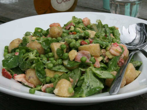 krieltjessalade met zalm