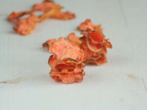 Zoete aardappel chips