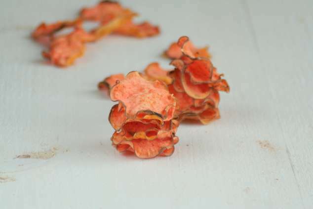 zoete aardappel chips