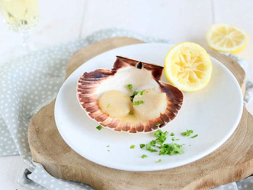 Coquilles met citroensaus