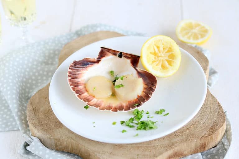 coquilles met citroensaus 2a