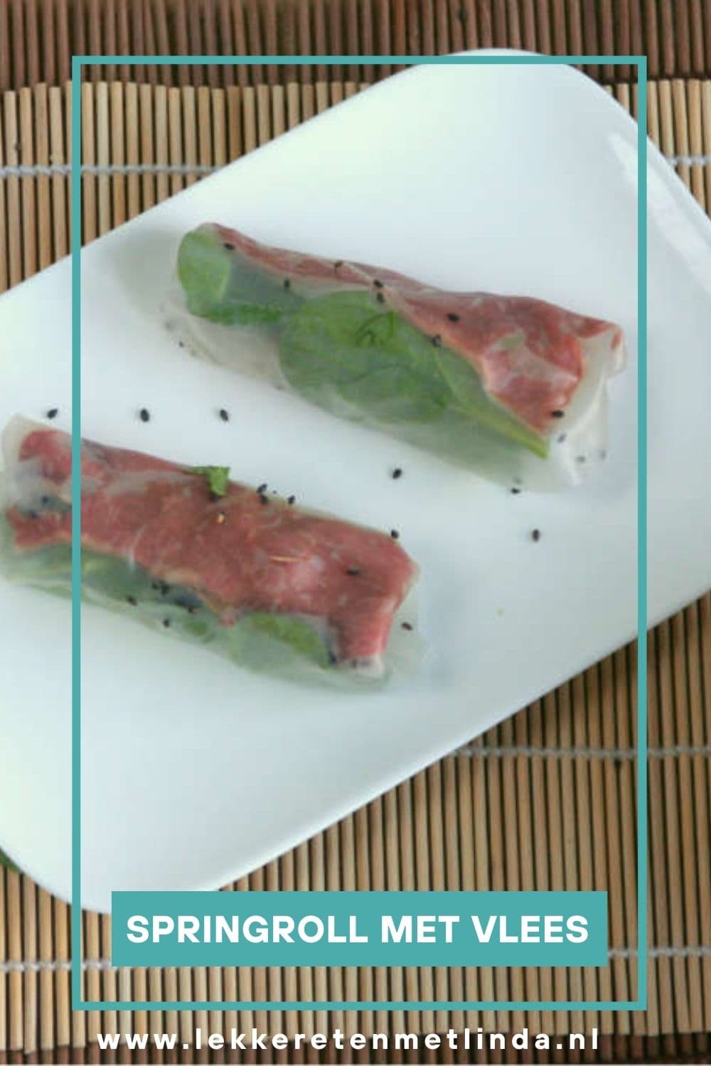 Springrolls met vlees
