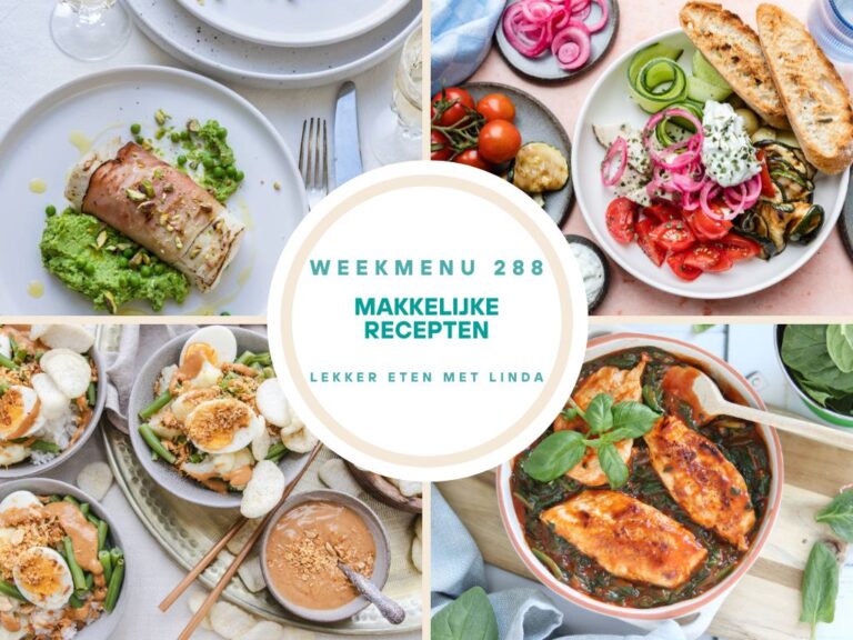 Weekmenu makkelijke recepten 290
