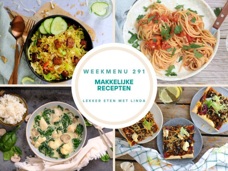 Weekmenu makkelijke recepten 291